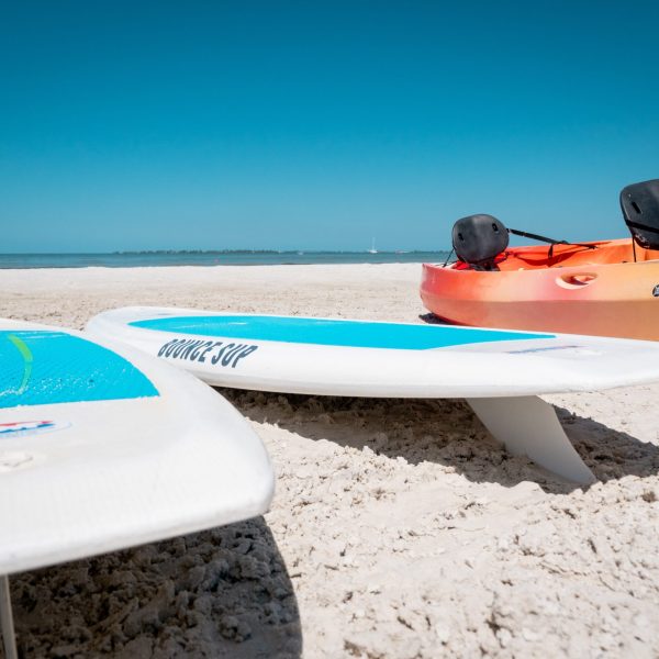 surfboards on a beach