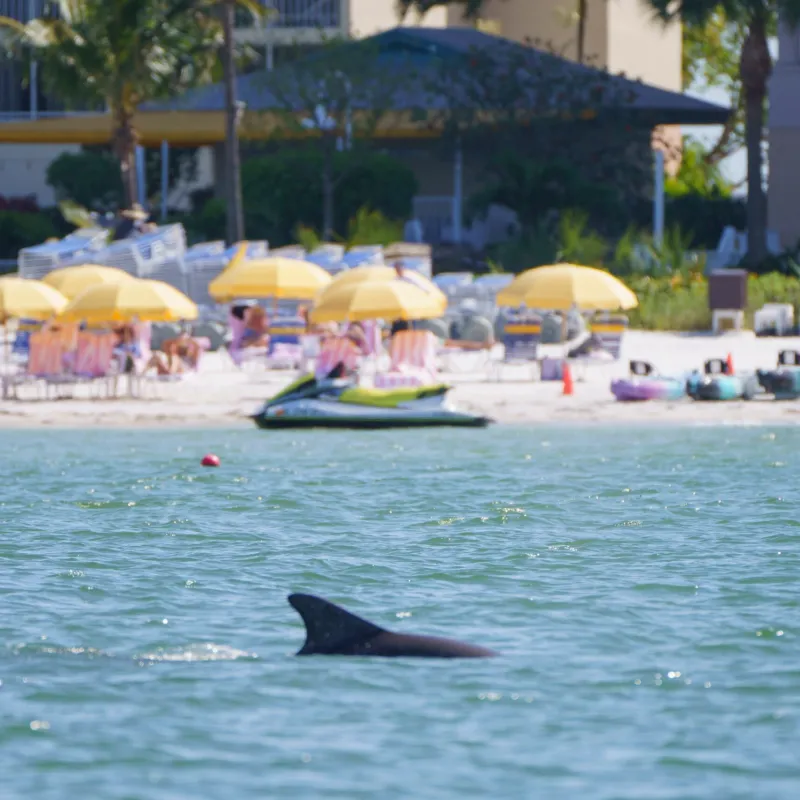 a small boat in a body of water